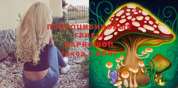 бутират Арсеньев