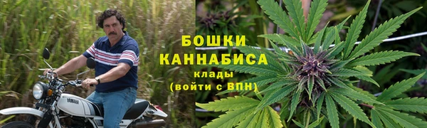 МДПВ Гусев