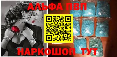 сатива Гай