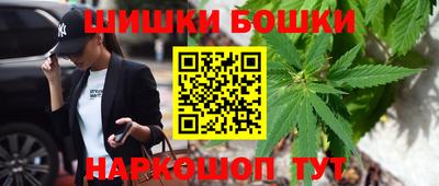 сатива Гай