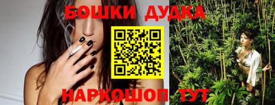сатива Гай