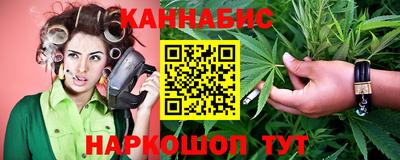 сатива Гай