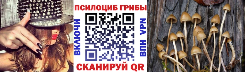 магазин  наркотиков  Сибай  Галлюциногенные грибы Magic Shrooms 