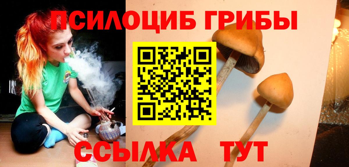 Галлюциногенные грибы Psilocybine cubensis  Галлюциногенные грибы GOLDEN TEACHER  Сибай  Вход с VPN 